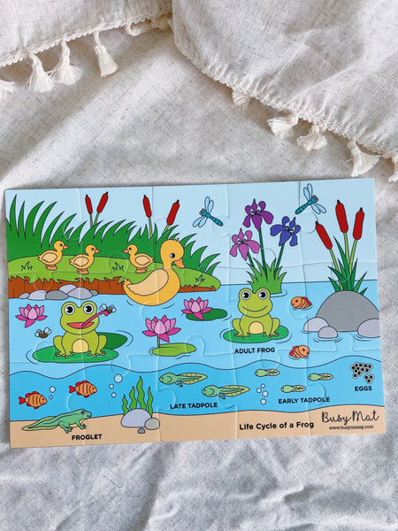 Busy Mat Travel Series: Life Cycle of a Frog